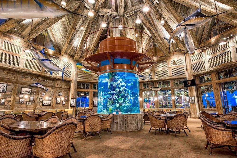 Big Cypress Lodge Memphis Eksteriør bilde